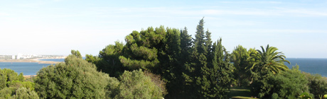 Click to view Portugal FAQ's